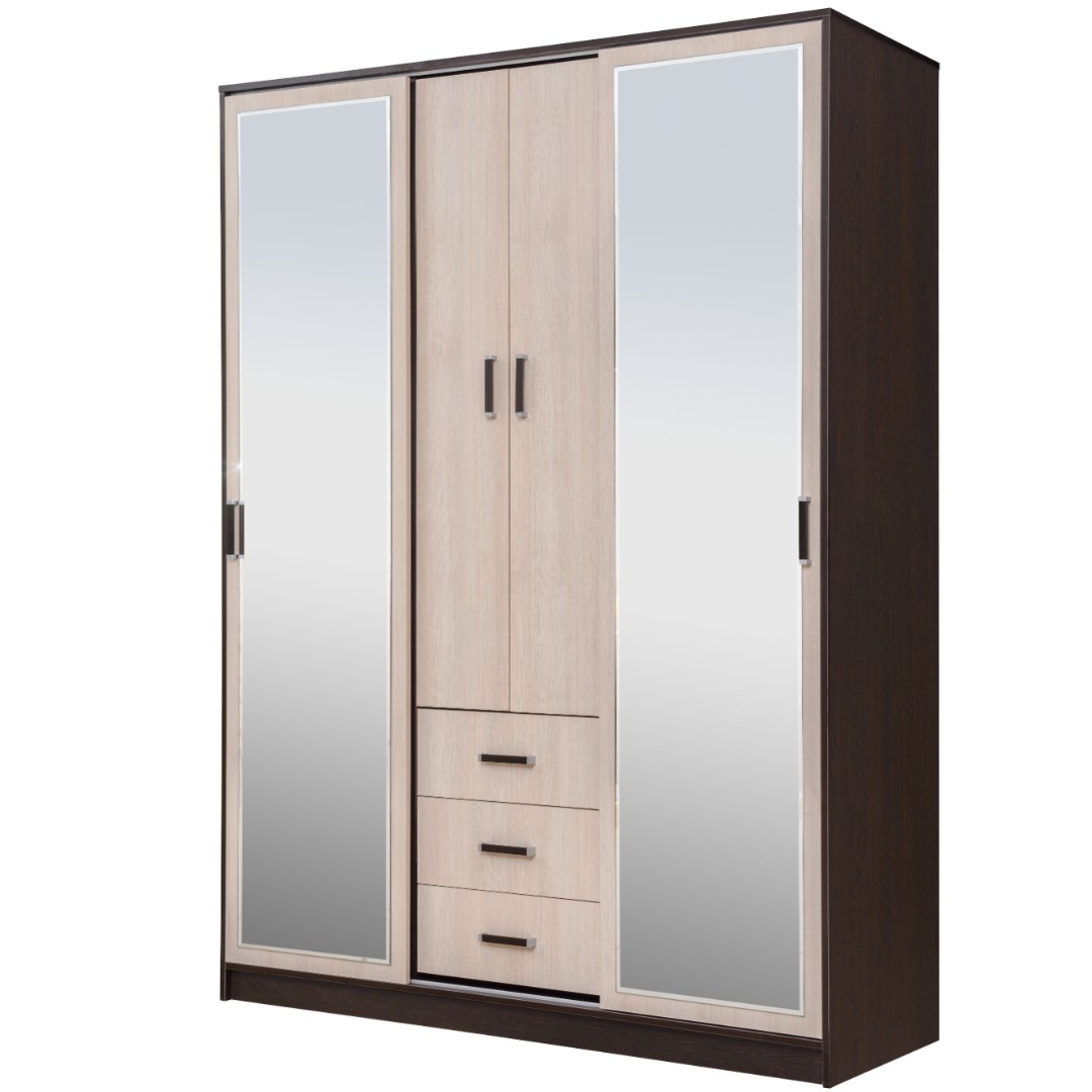 Шкаф-купе Elza E1-01.01